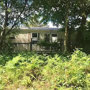 Forest View At Oakdene Forest Park - Leisure Passes Included! Holiday home